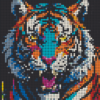 32 - 2x2 - Tiger