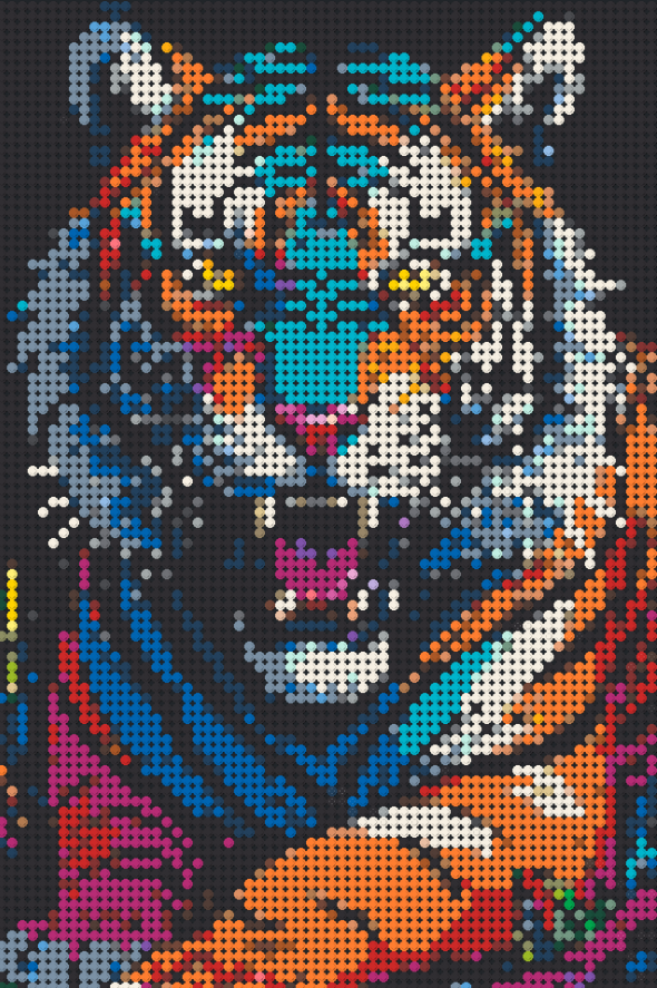 32 - 2x3 - Tiger